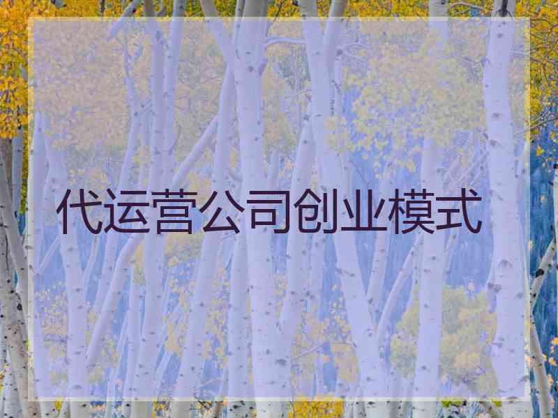 代运营公司创业模式