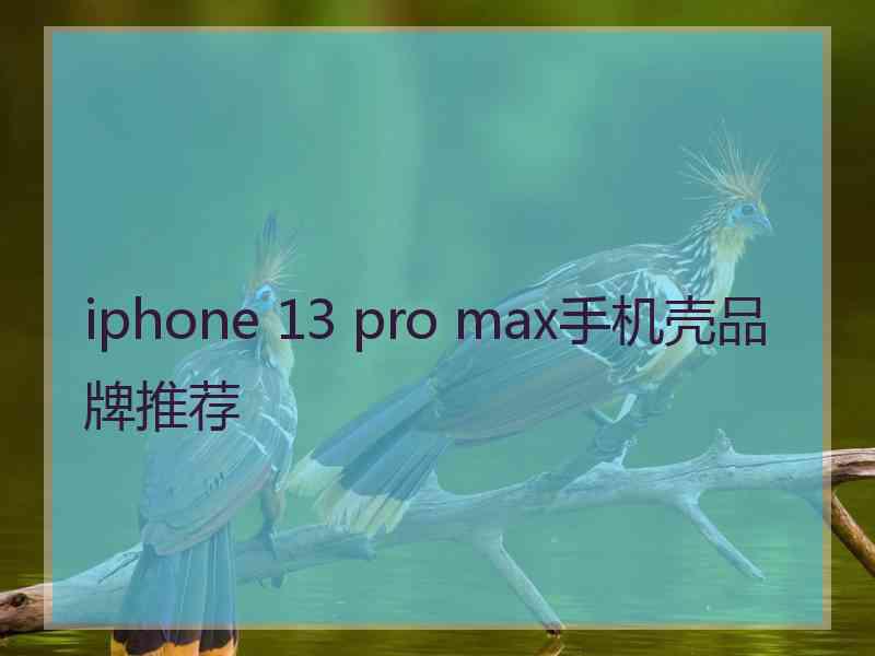 iphone 13 pro max手机壳品牌推荐