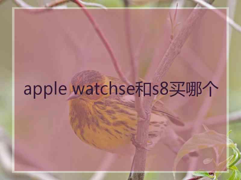 apple watchse和s8买哪个