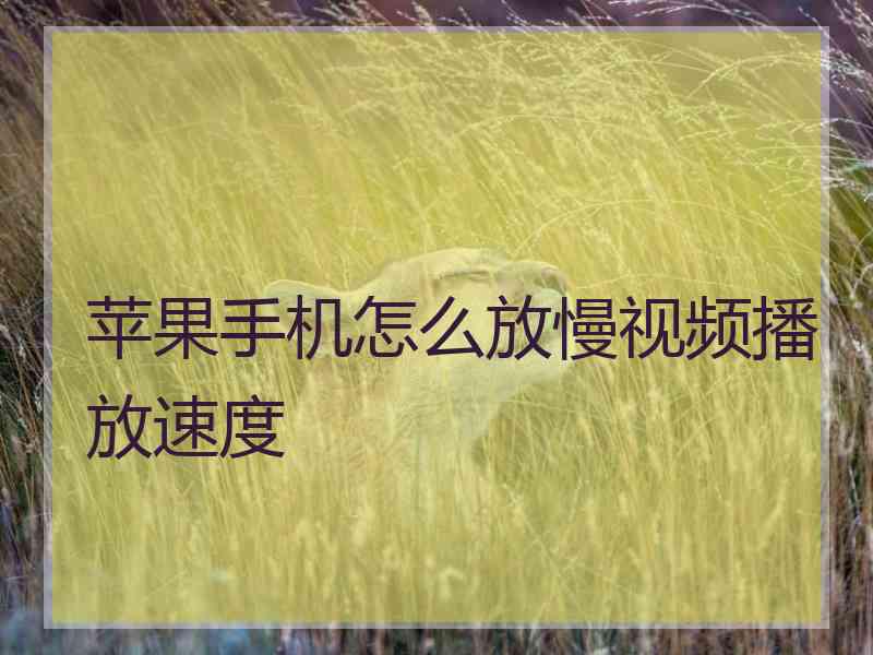 苹果手机怎么放慢视频播放速度