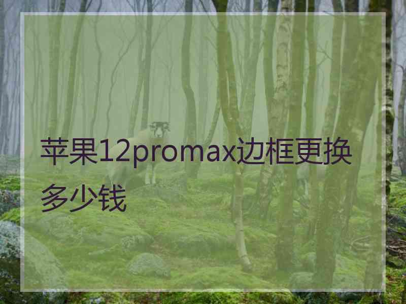 苹果12promax边框更换多少钱