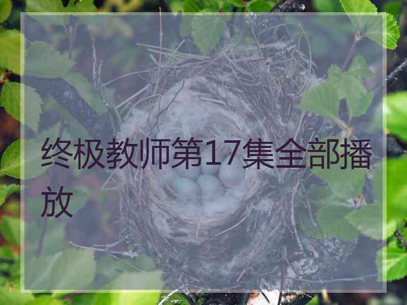 终极教师第17集全部播放