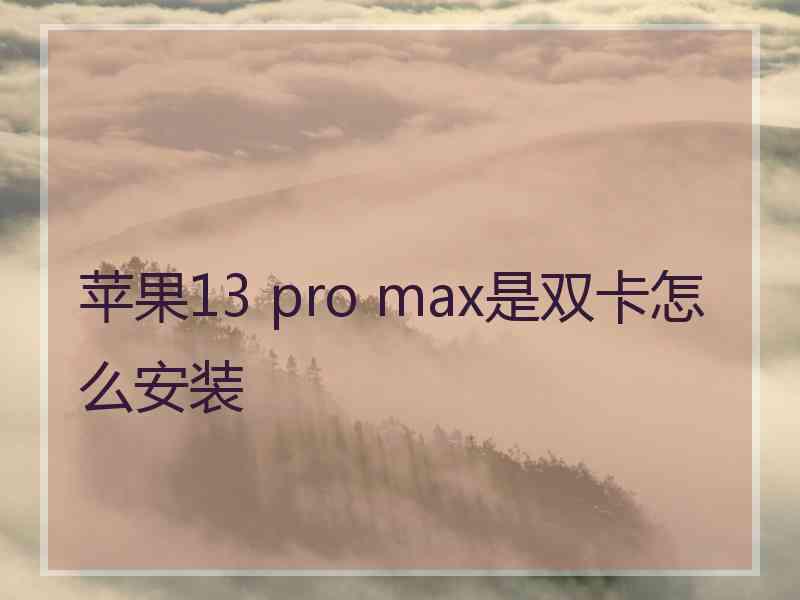 苹果13 pro max是双卡怎么安装