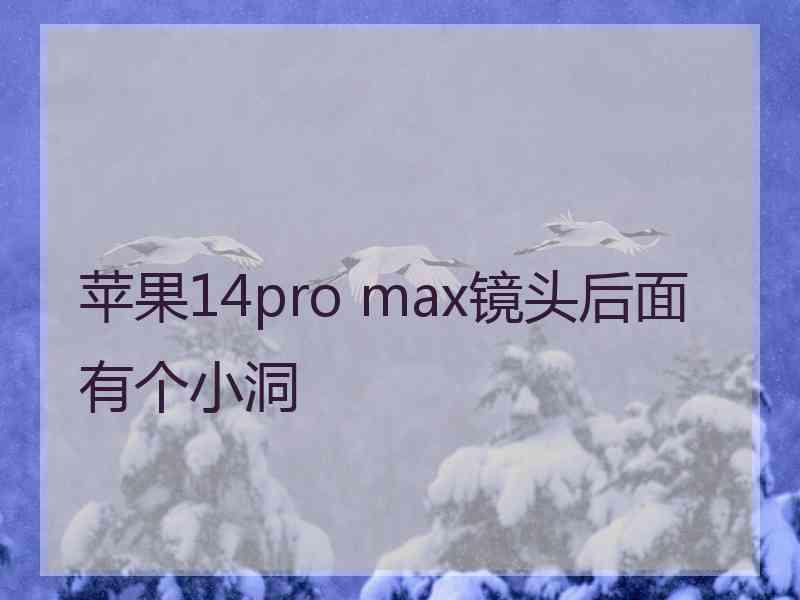 苹果14pro max镜头后面有个小洞