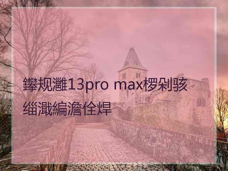 鑻规灉13pro max椤剁骇缁濈編澹佺焊