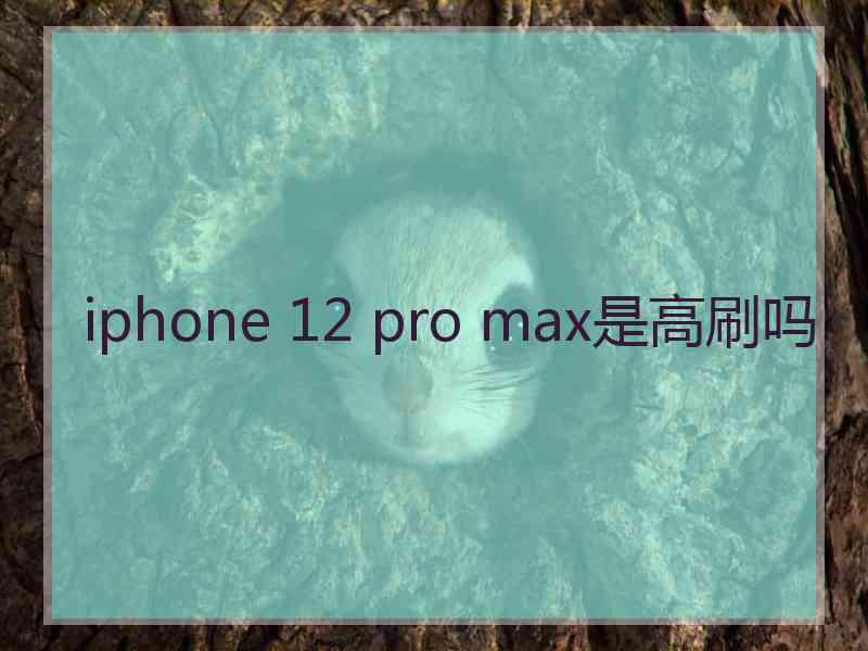 iphone 12 pro max是高刷吗