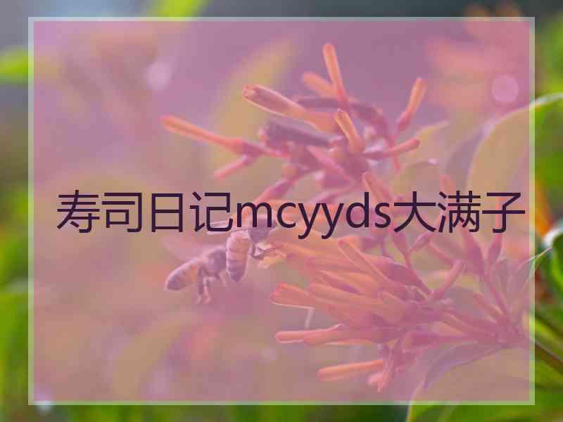 寿司日记mcyyds大满子