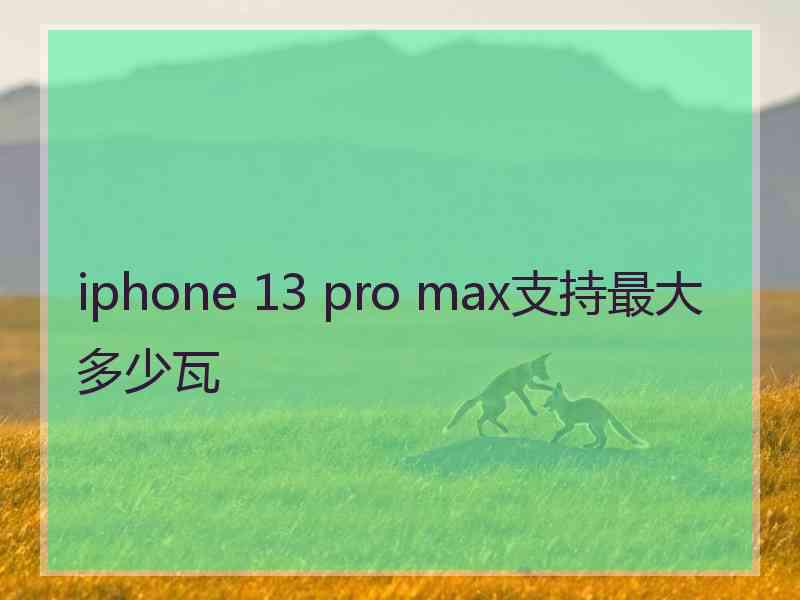 iphone 13 pro max支持最大多少瓦