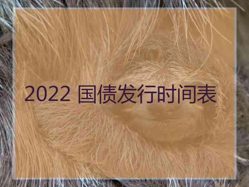 2022 国债发行时间表