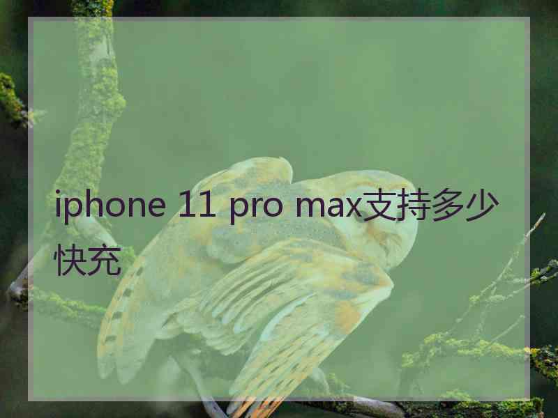 iphone 11 pro max支持多少快充