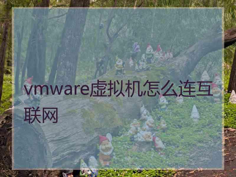 vmware虚拟机怎么连互联网