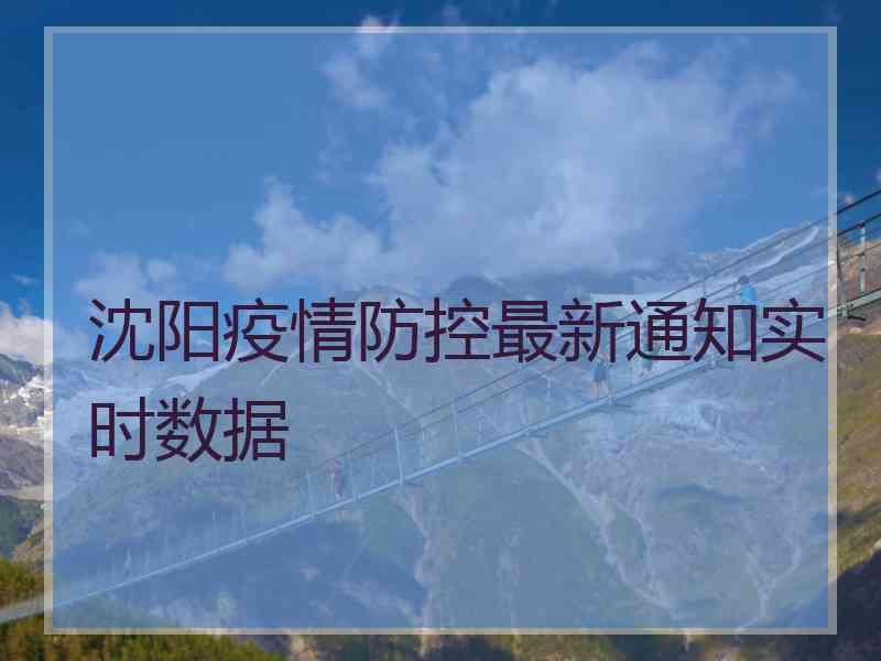 沈阳疫情防控最新通知实时数据