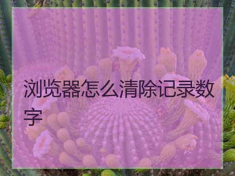 浏览器怎么清除记录数字