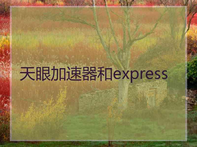 天眼加速器和express