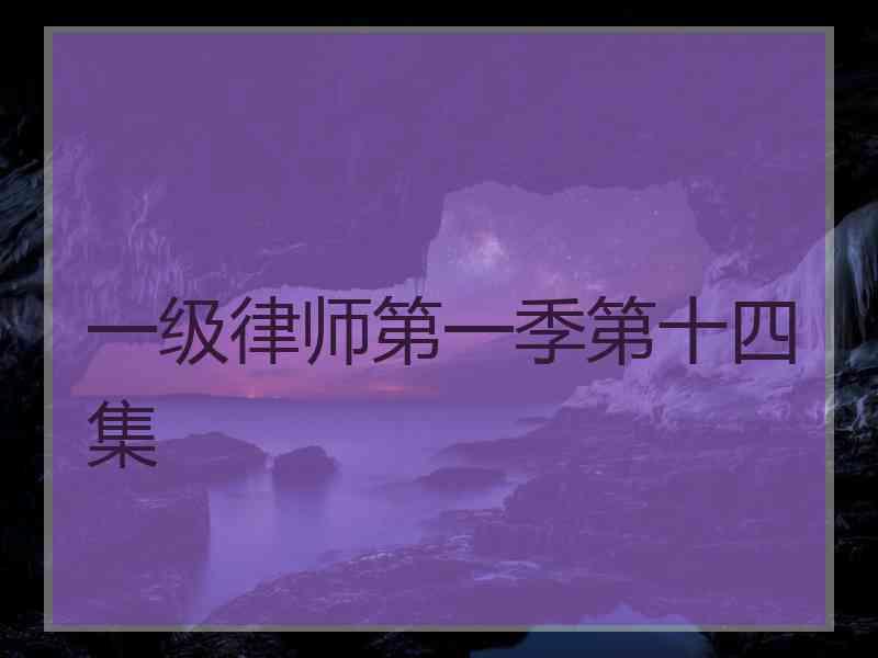 一级律师第一季第十四集