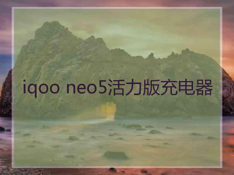 iqoo neo5活力版充电器