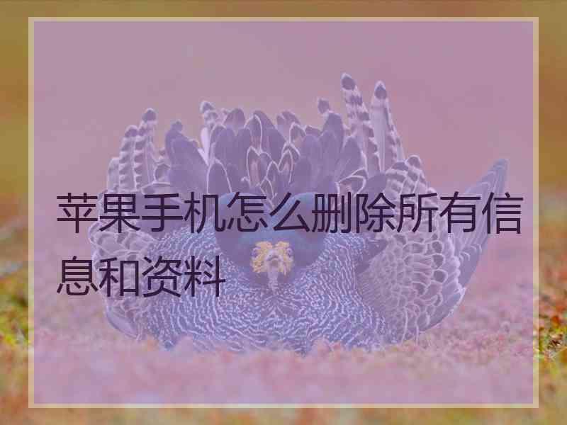 苹果手机怎么删除所有信息和资料