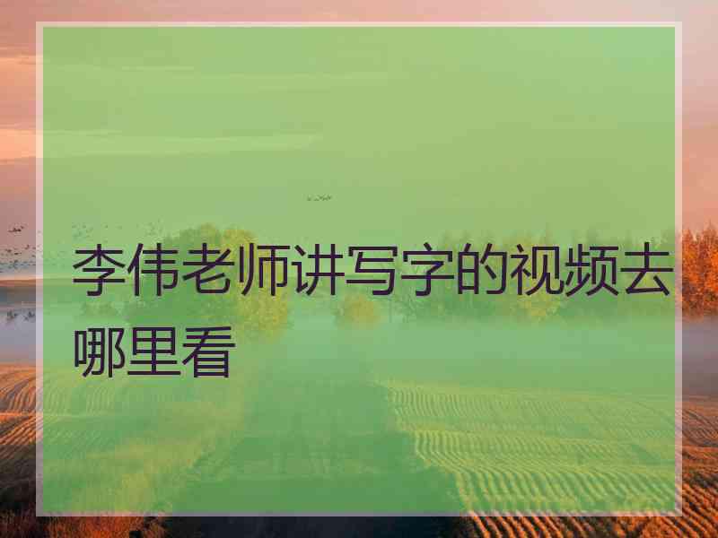 李伟老师讲写字的视频去哪里看