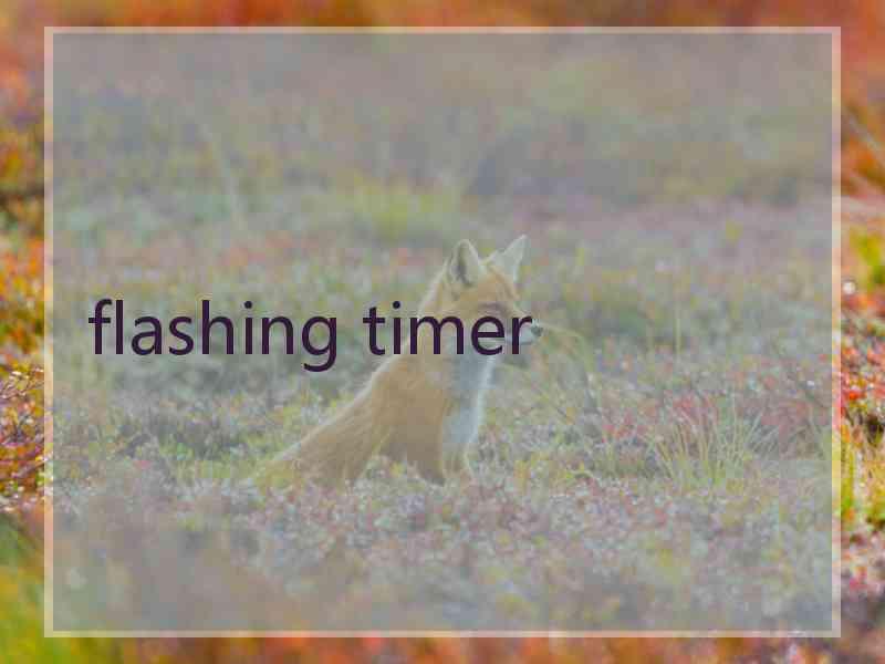 flashing timer