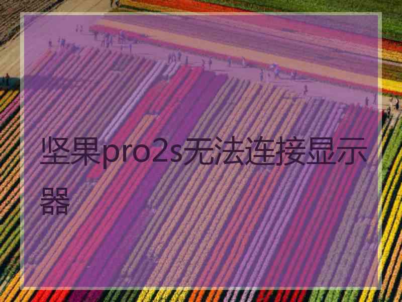 坚果pro2s无法连接显示器