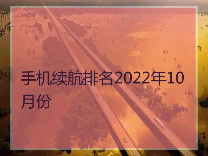 手机续航排名2022年10月份