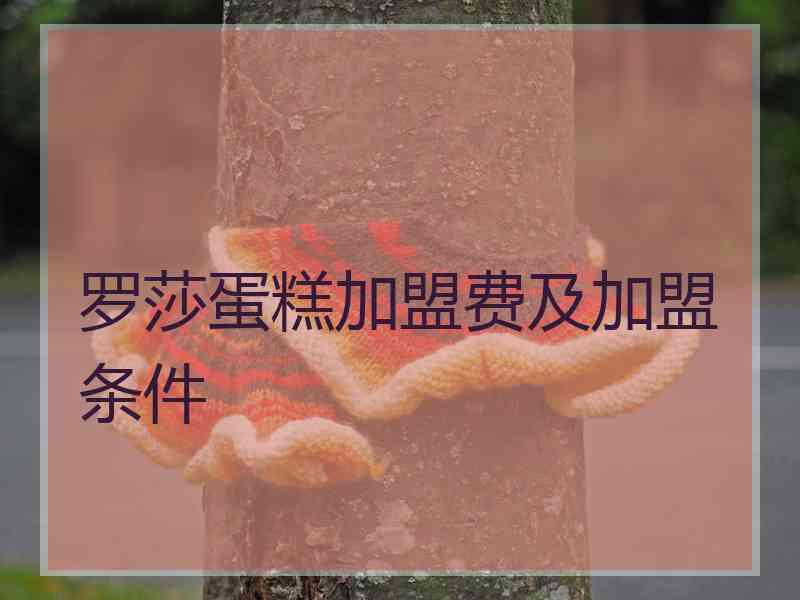 罗莎蛋糕加盟费及加盟条件