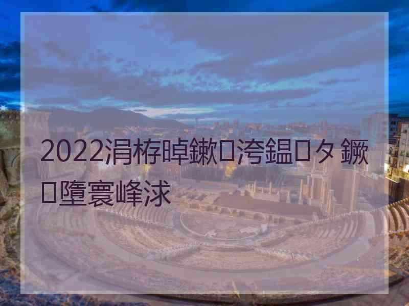 2022涓栫晫鏉洿鎾タ鐝墮寰峰浗