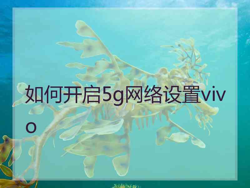 如何开启5g网络设置vivo