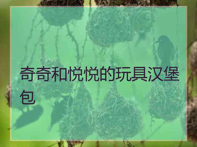 奇奇和悦悦的玩具汉堡包