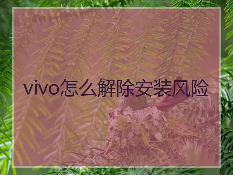 vivo怎么解除安装风险