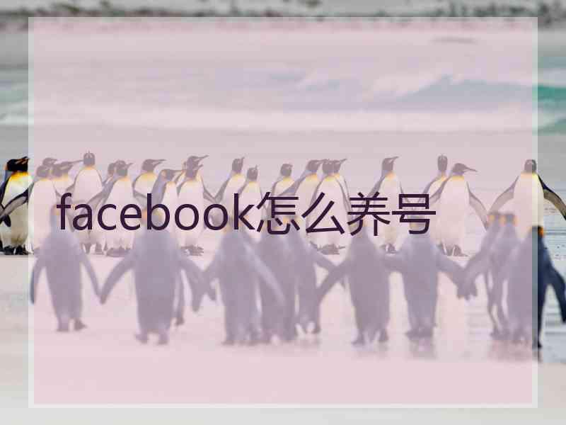 facebook怎么养号