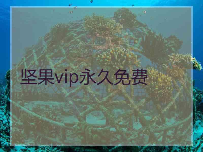 坚果vip永久免费