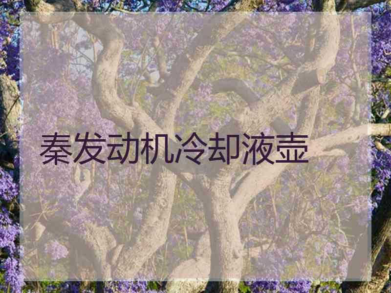 秦发动机冷却液壶