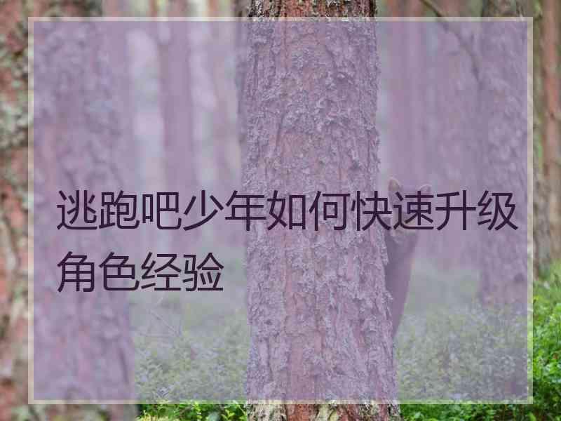 逃跑吧少年如何快速升级角色经验