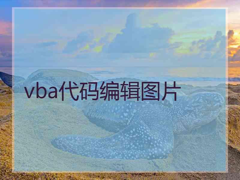 vba代码编辑图片