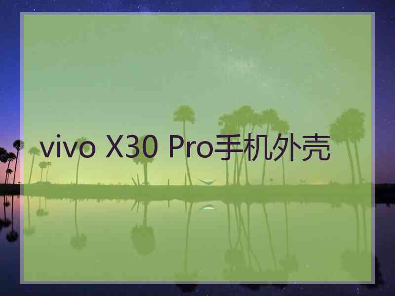 vivo X30 Pro手机外壳