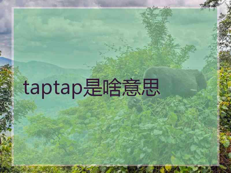 taptap是啥意思