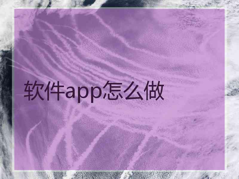 软件app怎么做