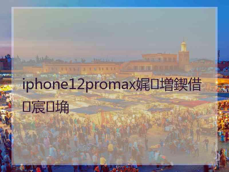 iphone12promax娓増鍥借宸埆