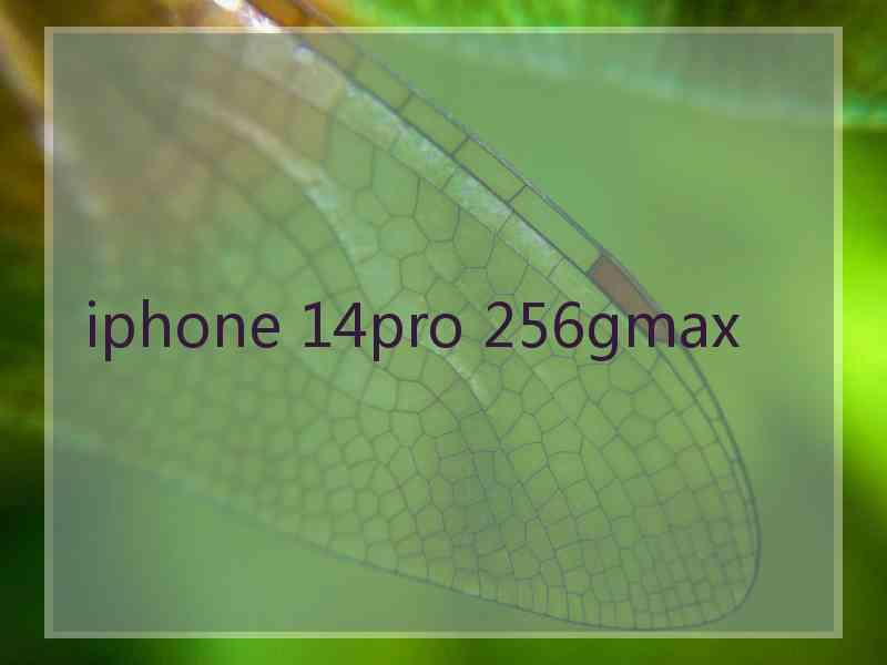 iphone 14pro 256gmax