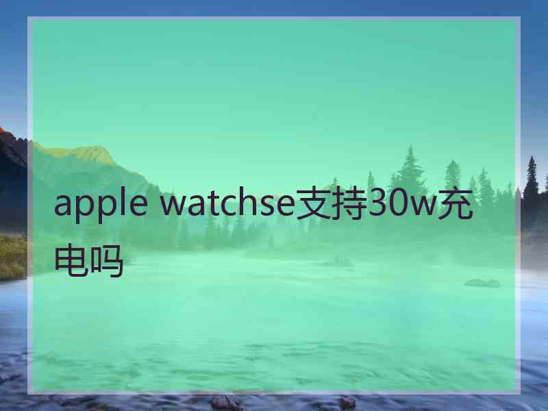 apple watchse支持30w充电吗