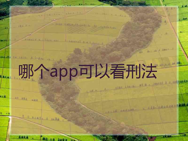 哪个app可以看刑法