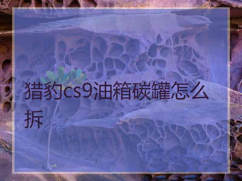 猎豹cs9油箱碳罐怎么拆