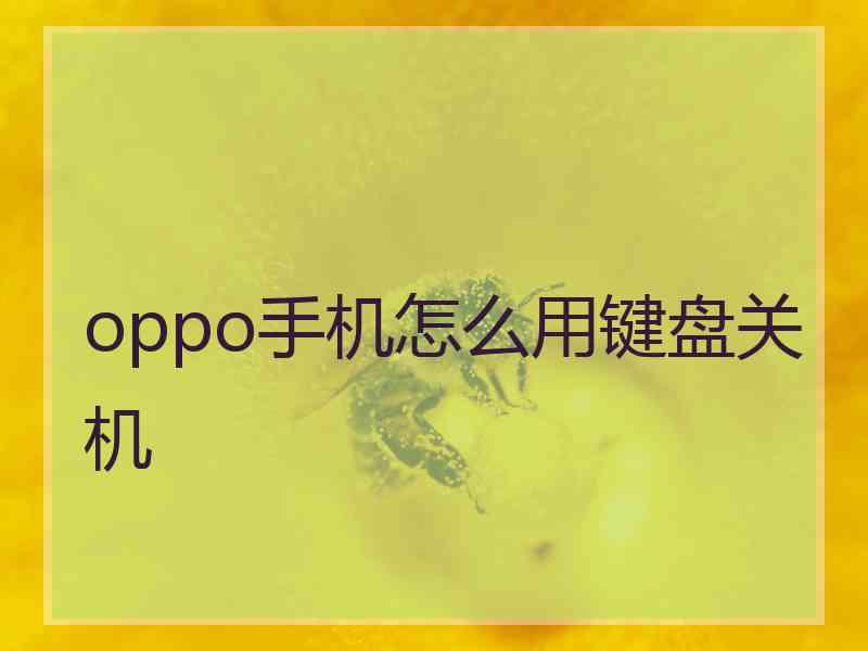 oppo手机怎么用键盘关机