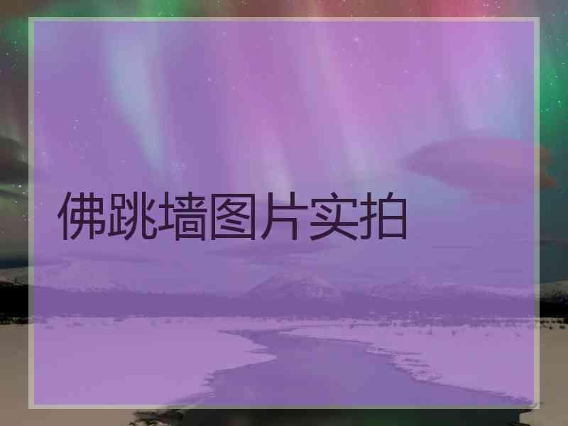 佛跳墙图片实拍