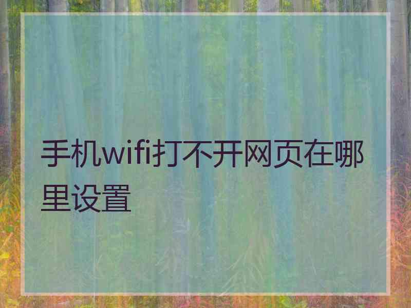 手机wifi打不开网页在哪里设置