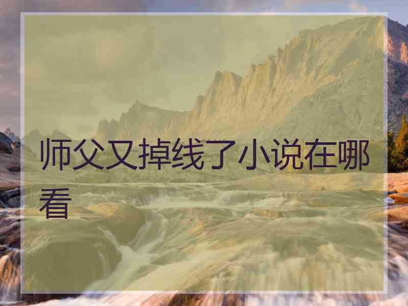 师父又掉线了小说在哪看