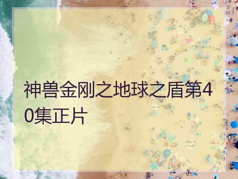 神兽金刚之地球之盾第40集正片