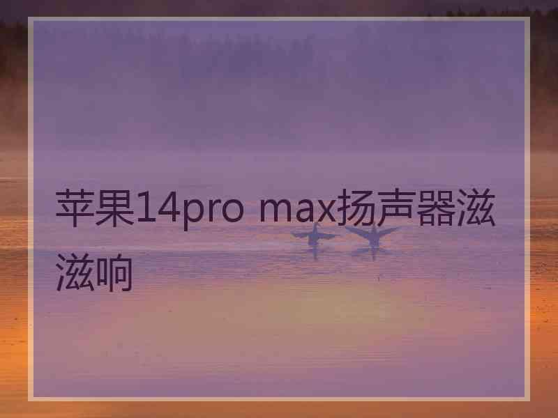 苹果14pro max扬声器滋滋响