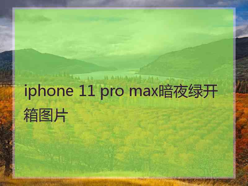 iphone 11 pro max暗夜绿开箱图片